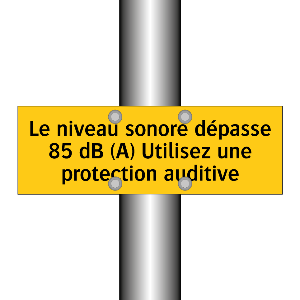 Le niveau sonore dépasse 85 dB (A) Utilisez une protection auditive