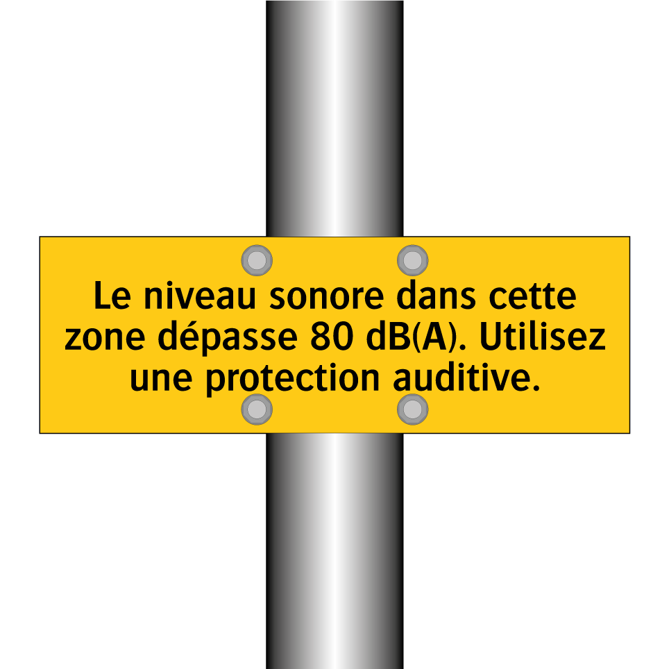 Le niveau sonore dans cette zone dépasse 80 dB(A). Utilisez une protection auditive