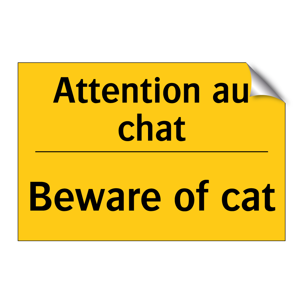 Attention au chat - Beware of cat