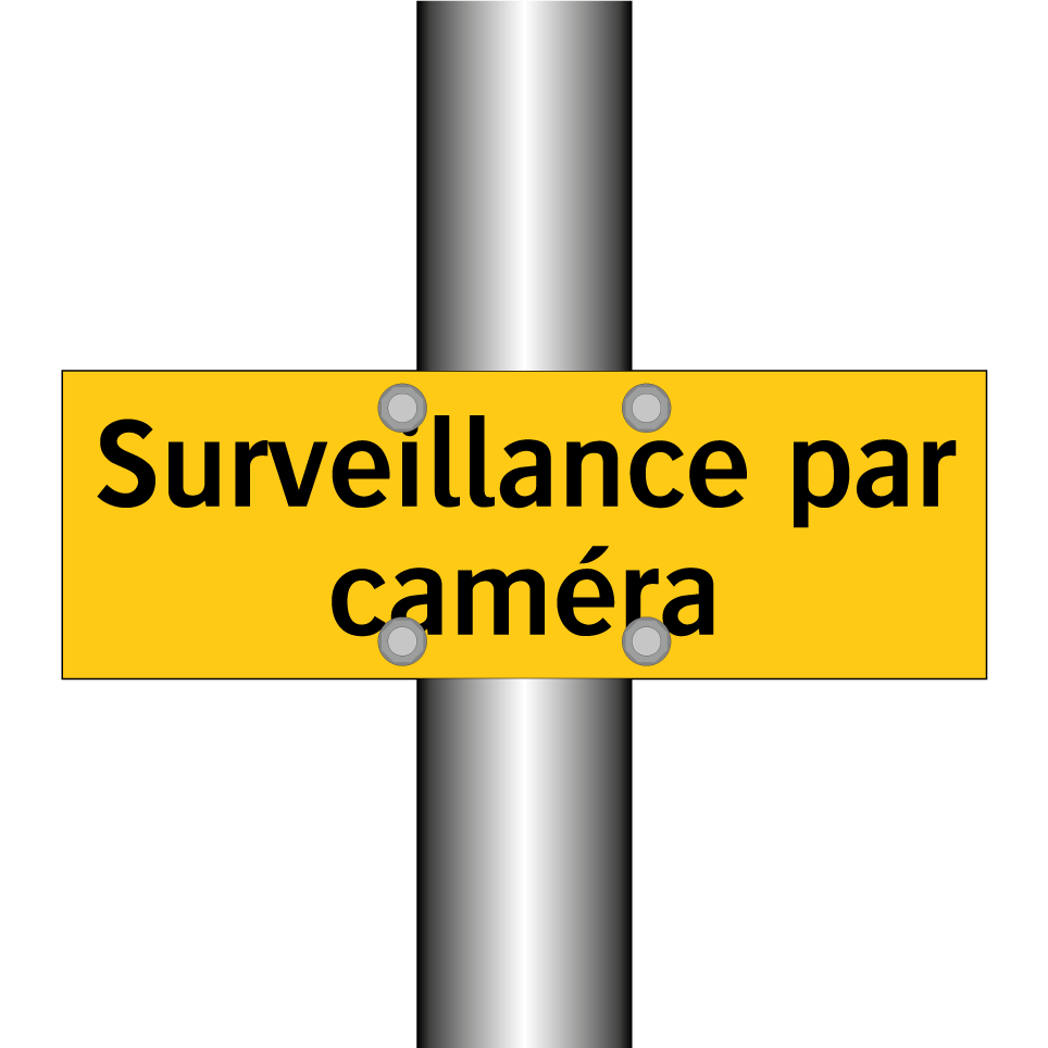 Surveillance par caméra