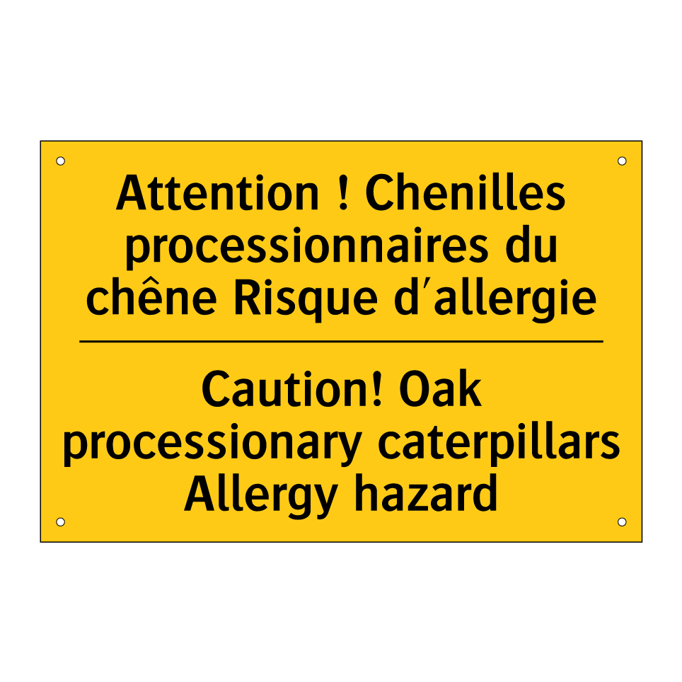 Attention ! Chenilles processionnaires  /.../ - Caution! Oak processionary caterpillars  /.../