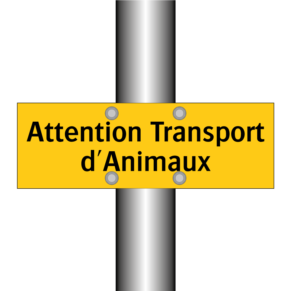 Attention Transport d'Animaux