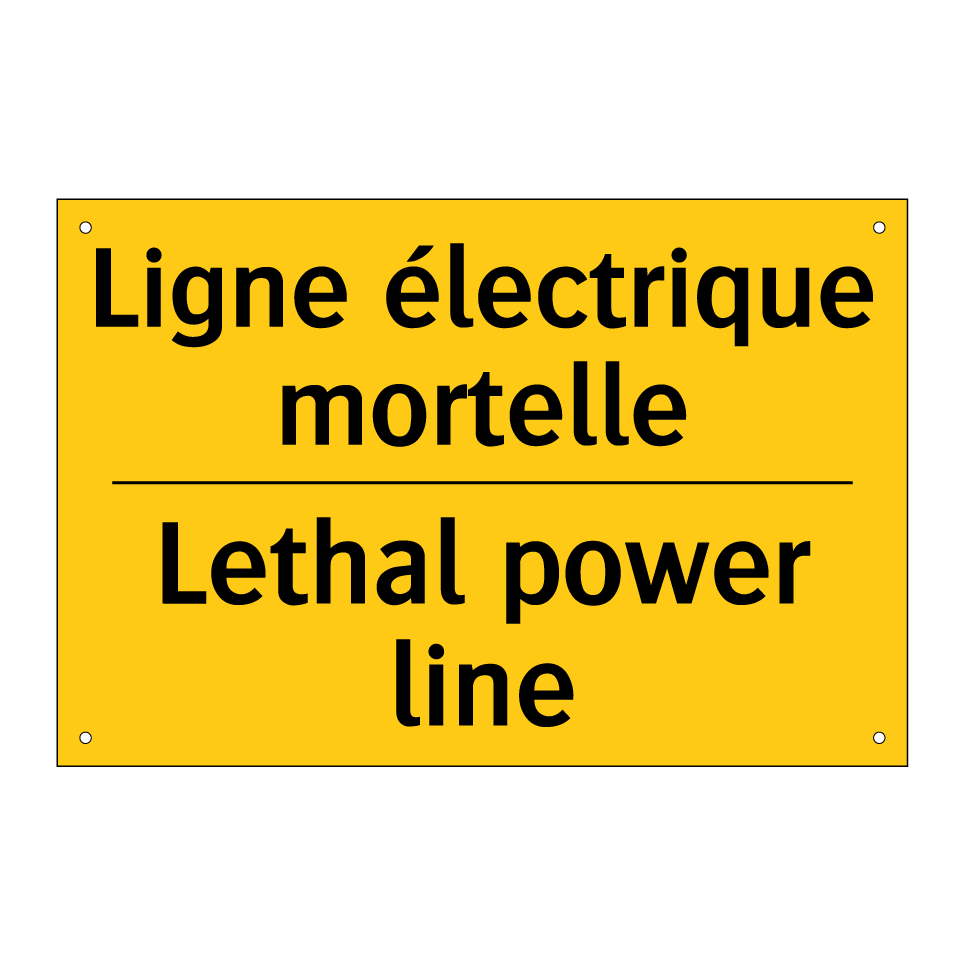Ligne électrique mortelle - Lethal power line