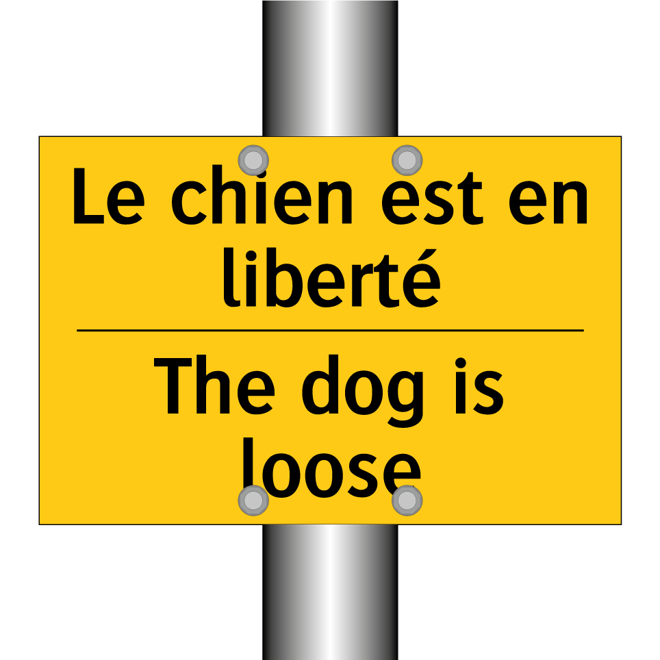 Le chien est en liberté - The dog is loose