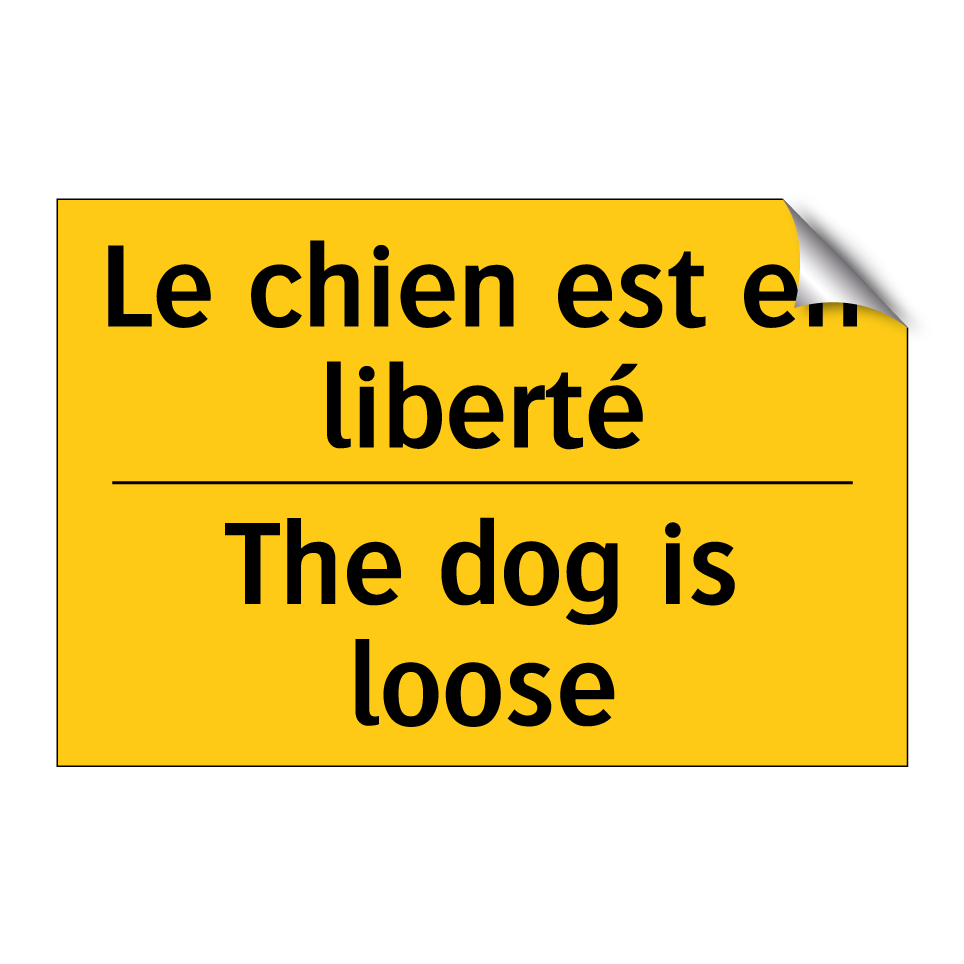 Le chien est en liberté - The dog is loose