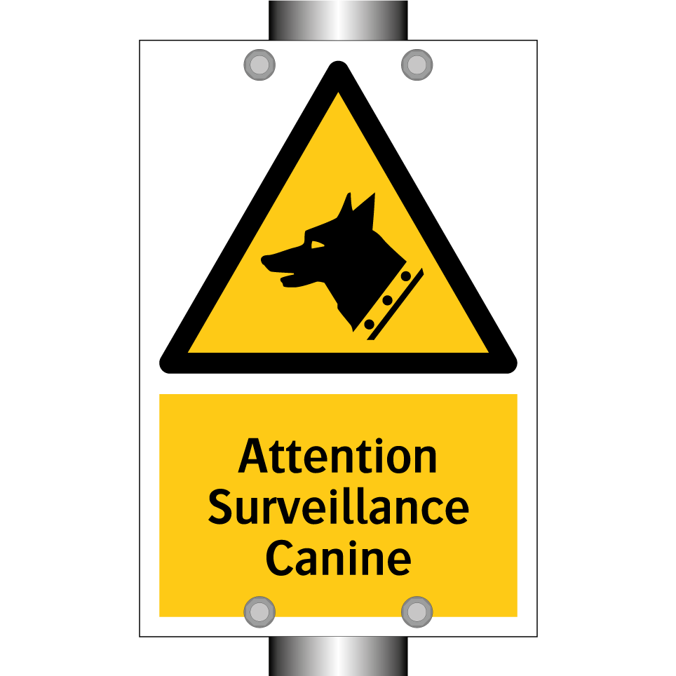 Attention Surveillance Canine