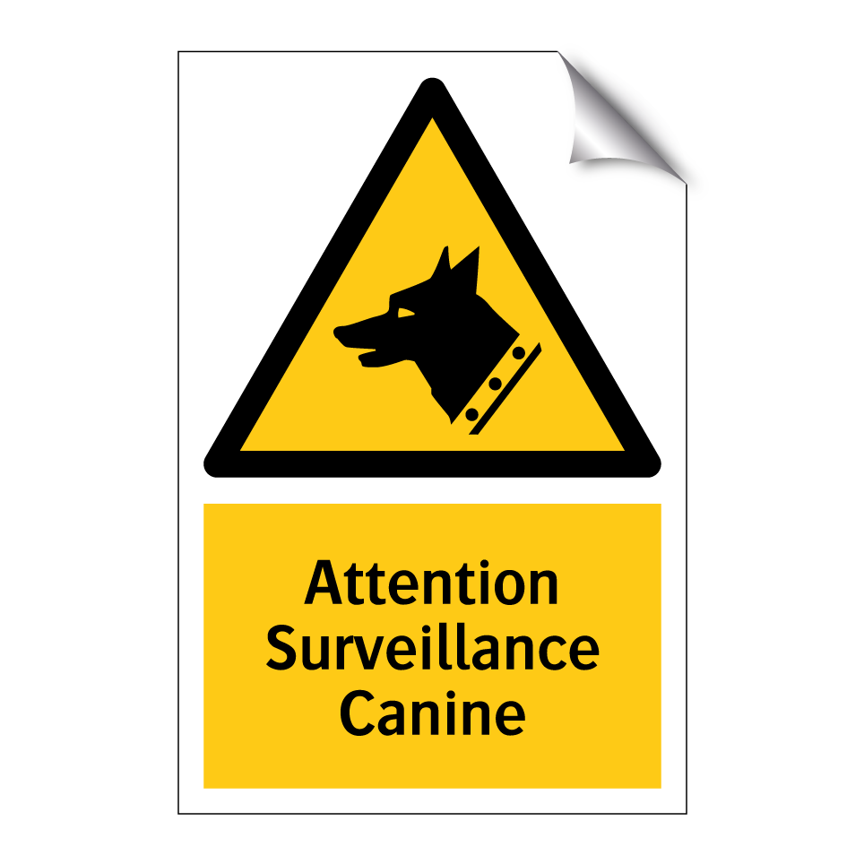 Attention Surveillance Canine