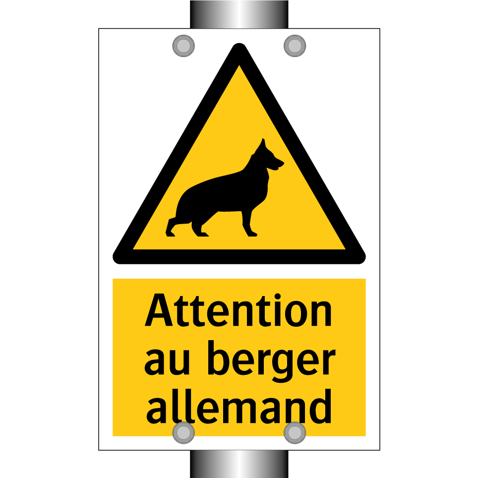 Attention au berger allemand