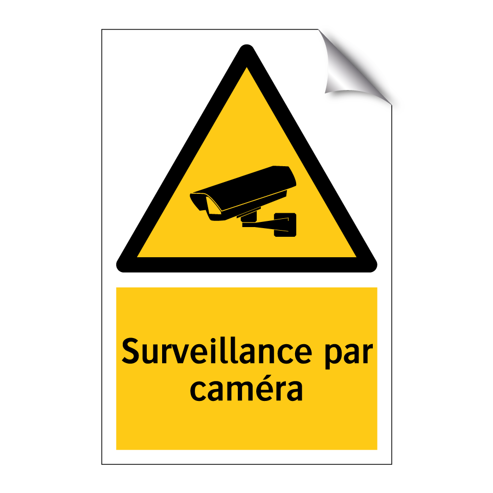 Surveillance par caméra