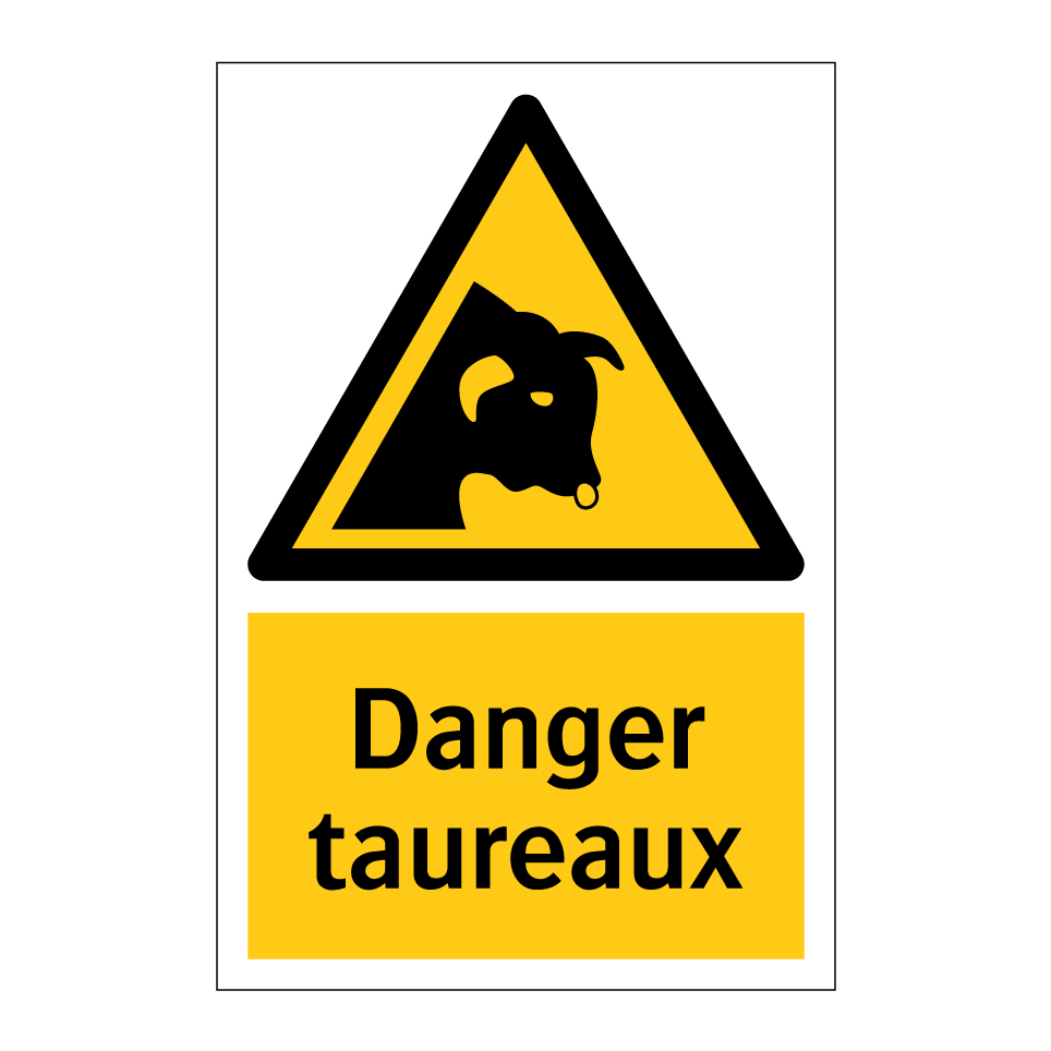 Danger taureaux