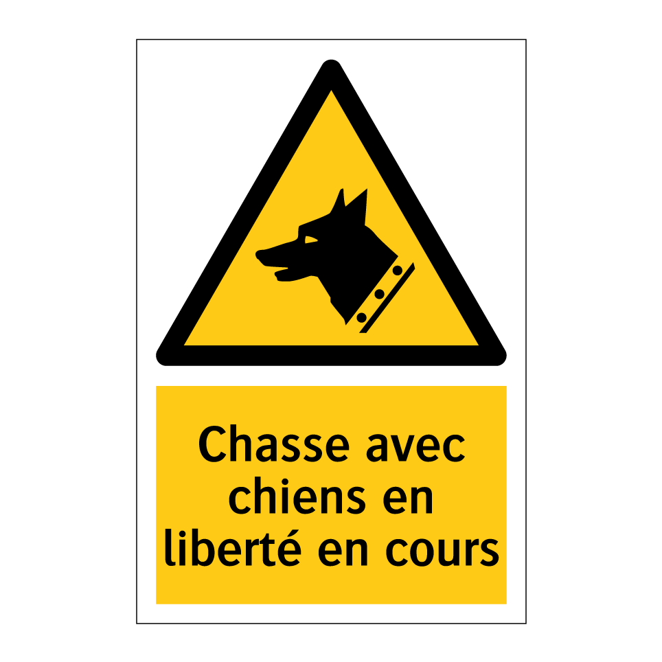Chasse avec chiens en liberté en cours