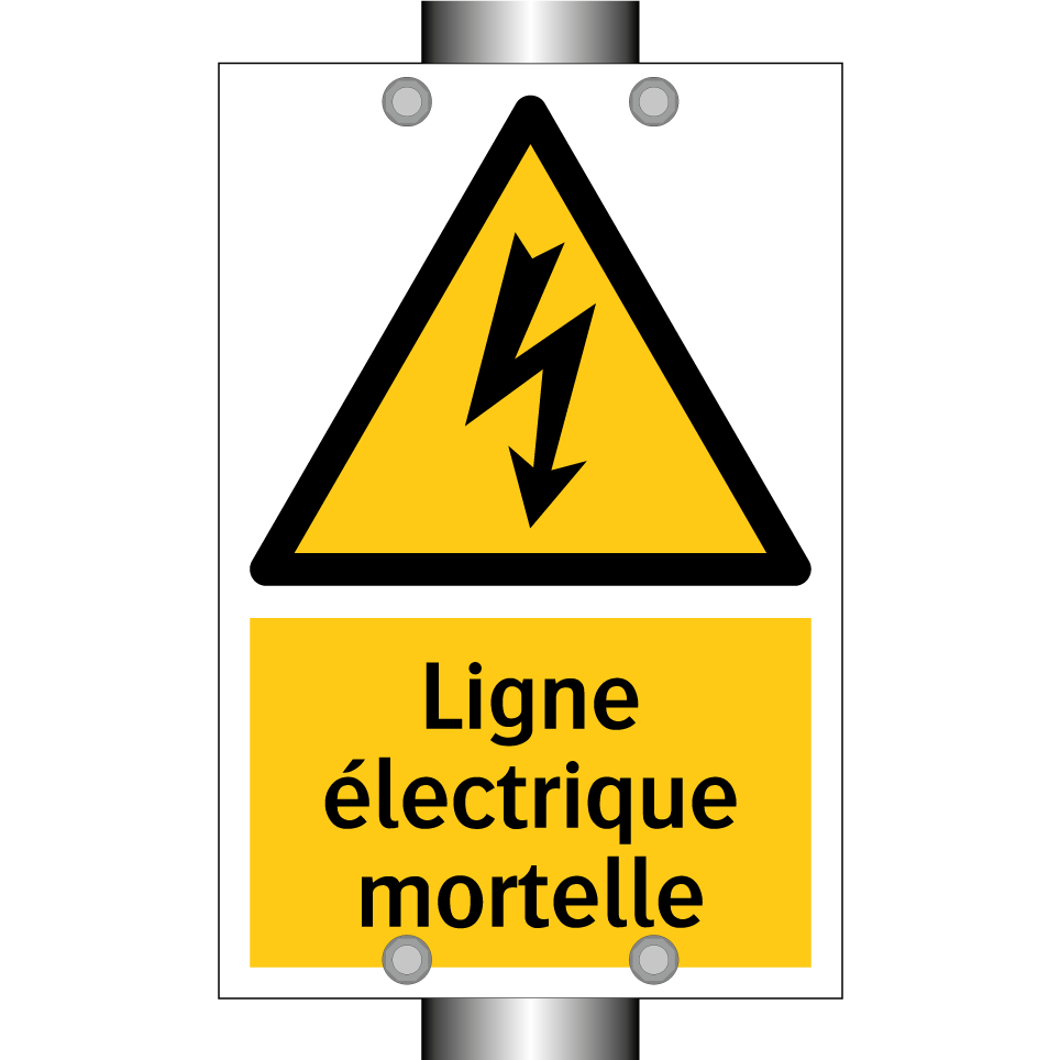 Ligne électrique mortelle