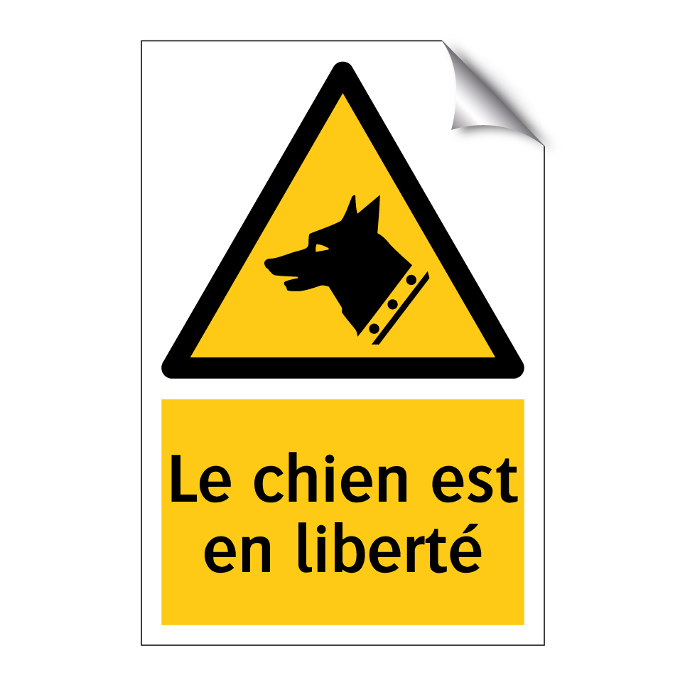 Le chien est en liberté