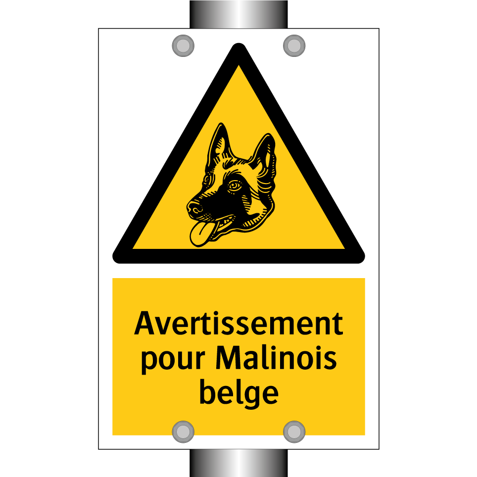 Avertissement pour Malinois belge