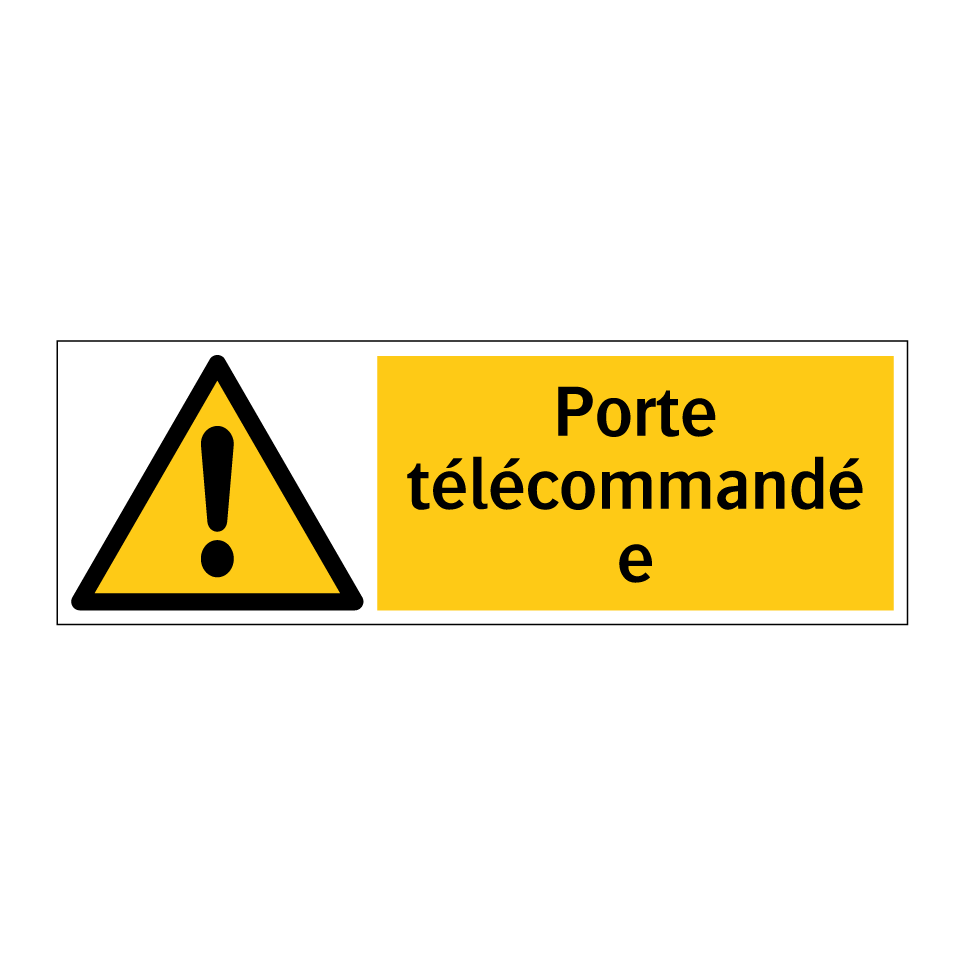 Porte télécommandée