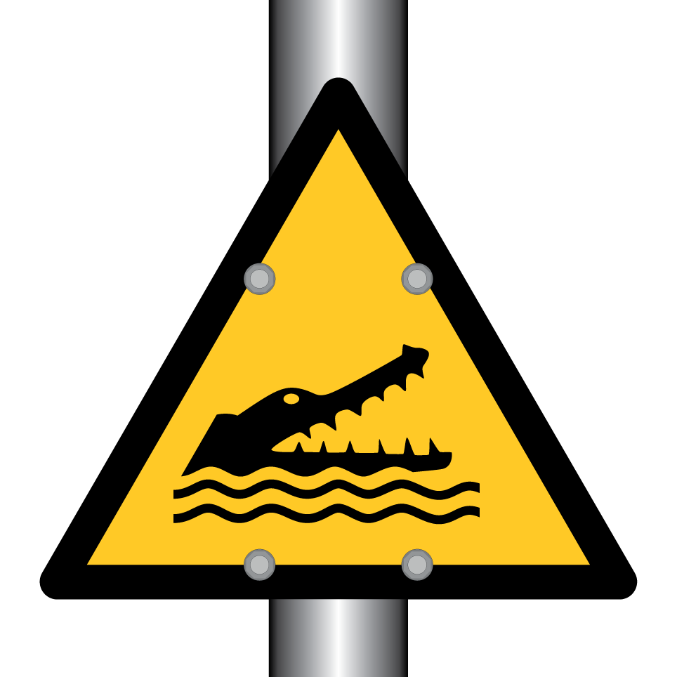 W067 Crocodiles, alligators ou caïmans
