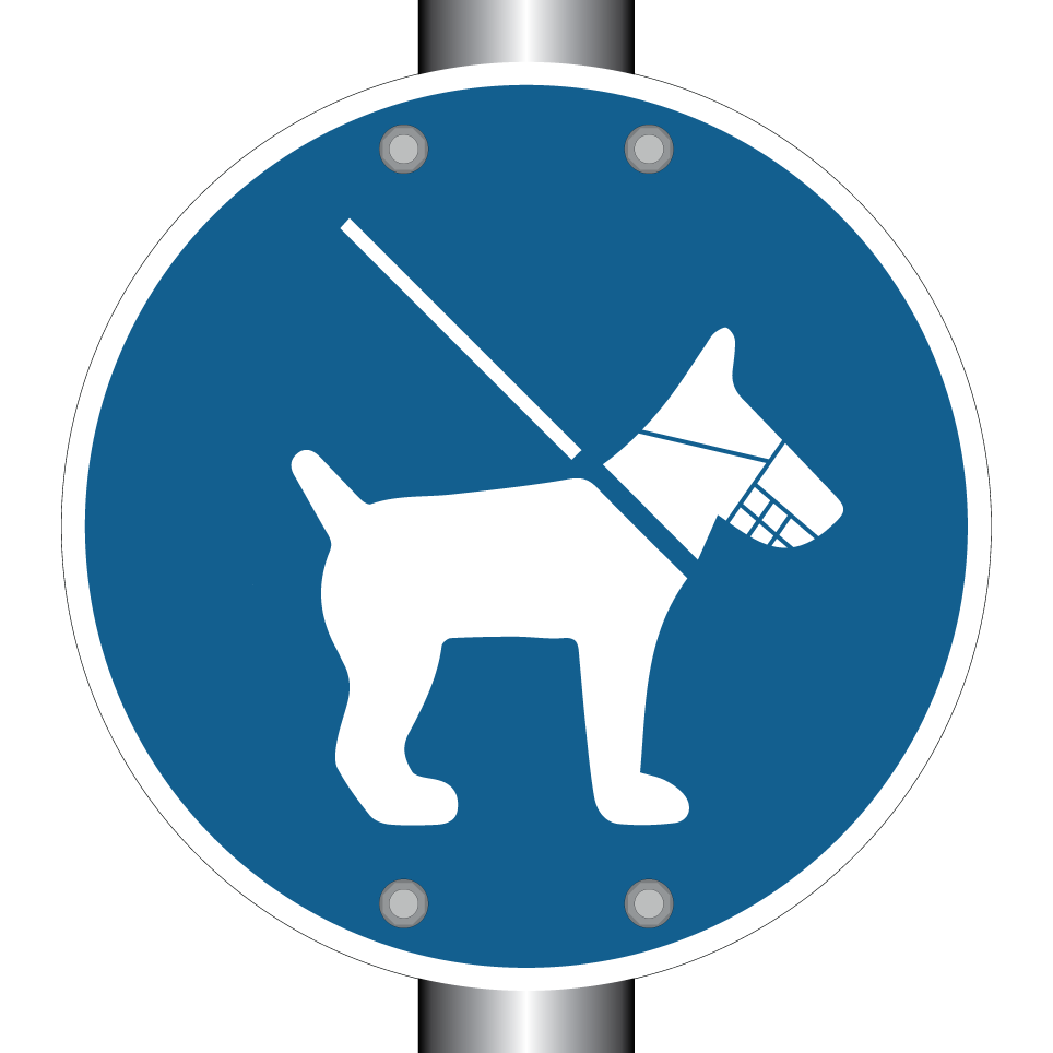 Chien doit être muselé et tenu en laisse