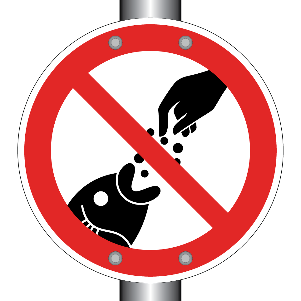 Nourrir les poissons interdit