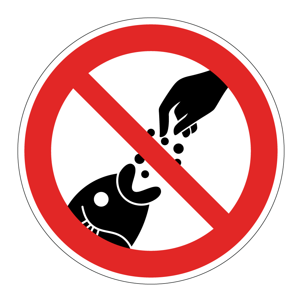 Fische nicht füttern