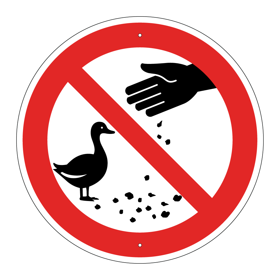 Enten nicht füttern