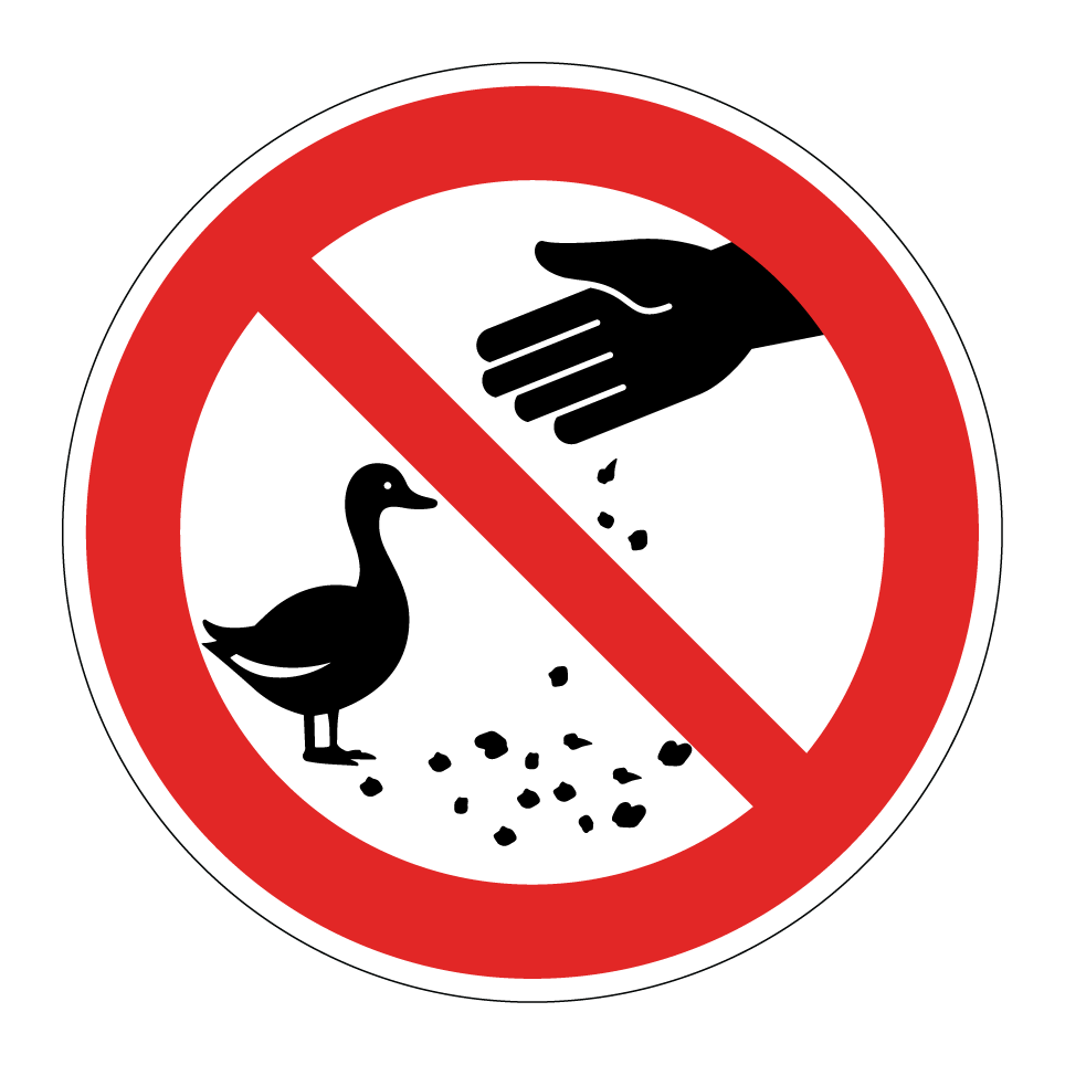 Enten nicht füttern