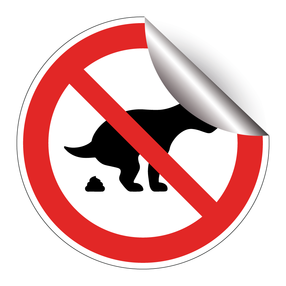 Kein Hundekot