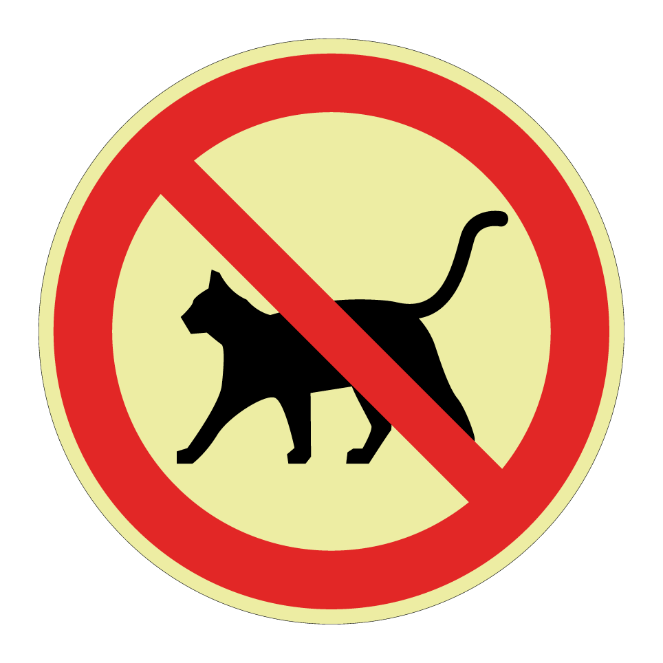 Keine Katzen