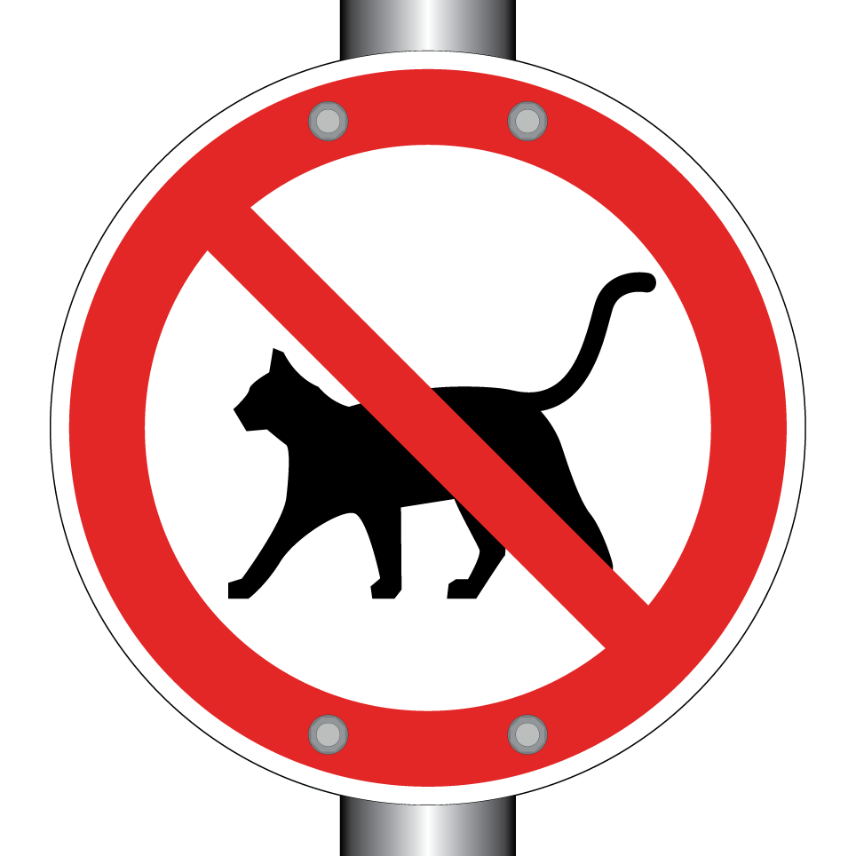 Keine Katzen