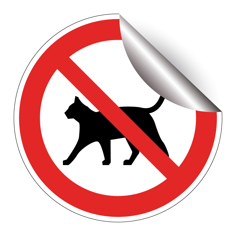 Keine Katzen