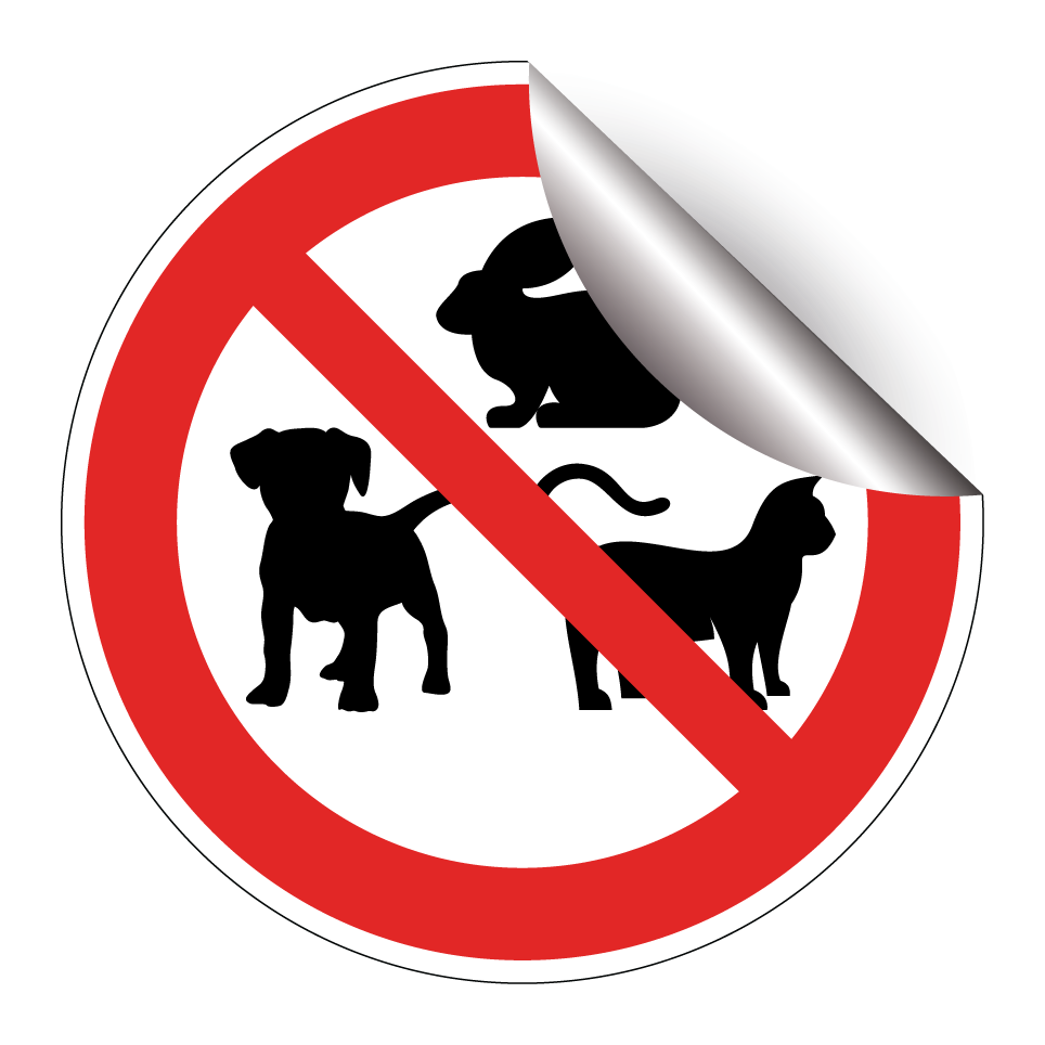 Pas d’animaux