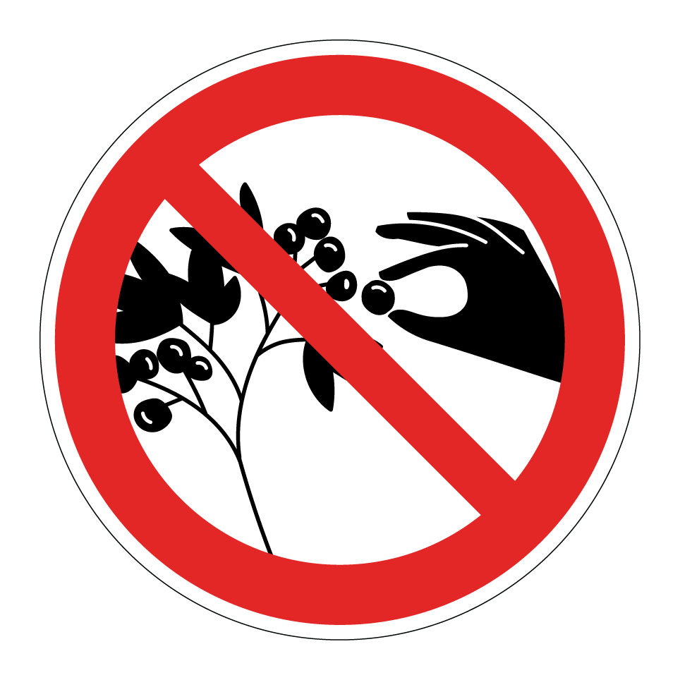 Beerenpflücken verboten