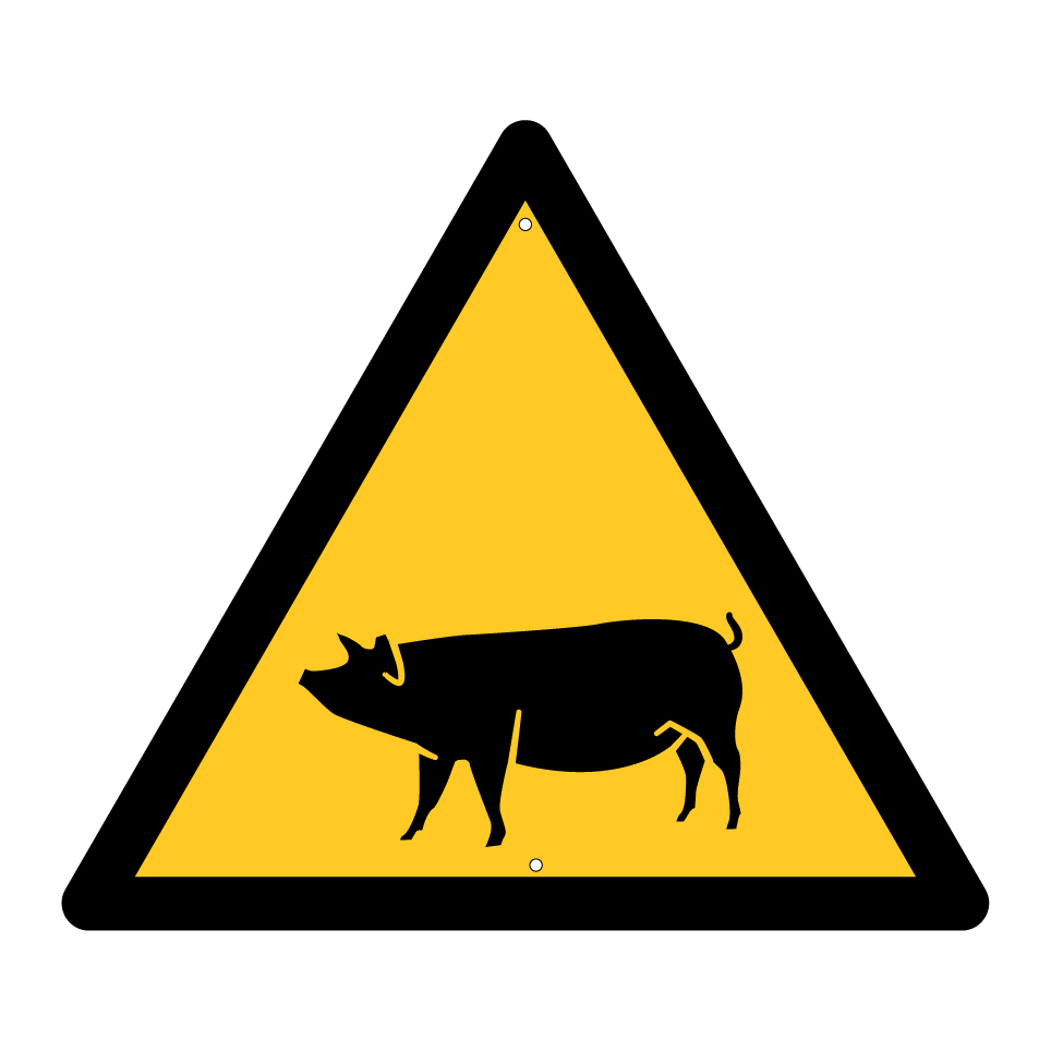 Cochon d'avertissement