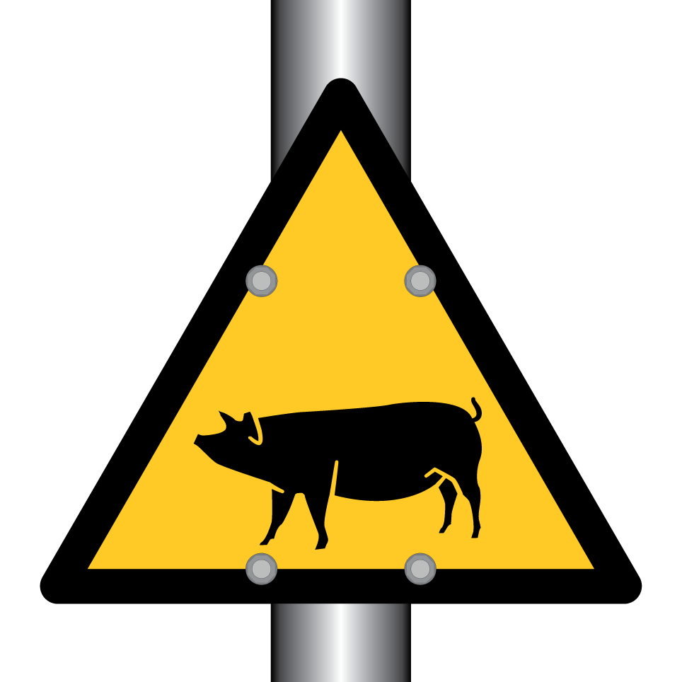 Cochon d'avertissement