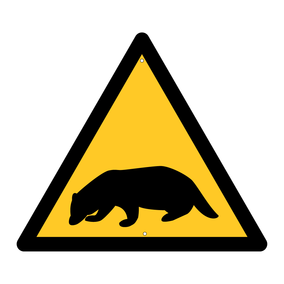 Warnungsdachs