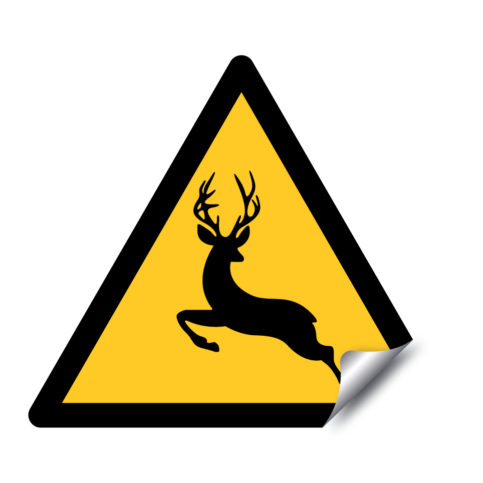Cerf avertissement