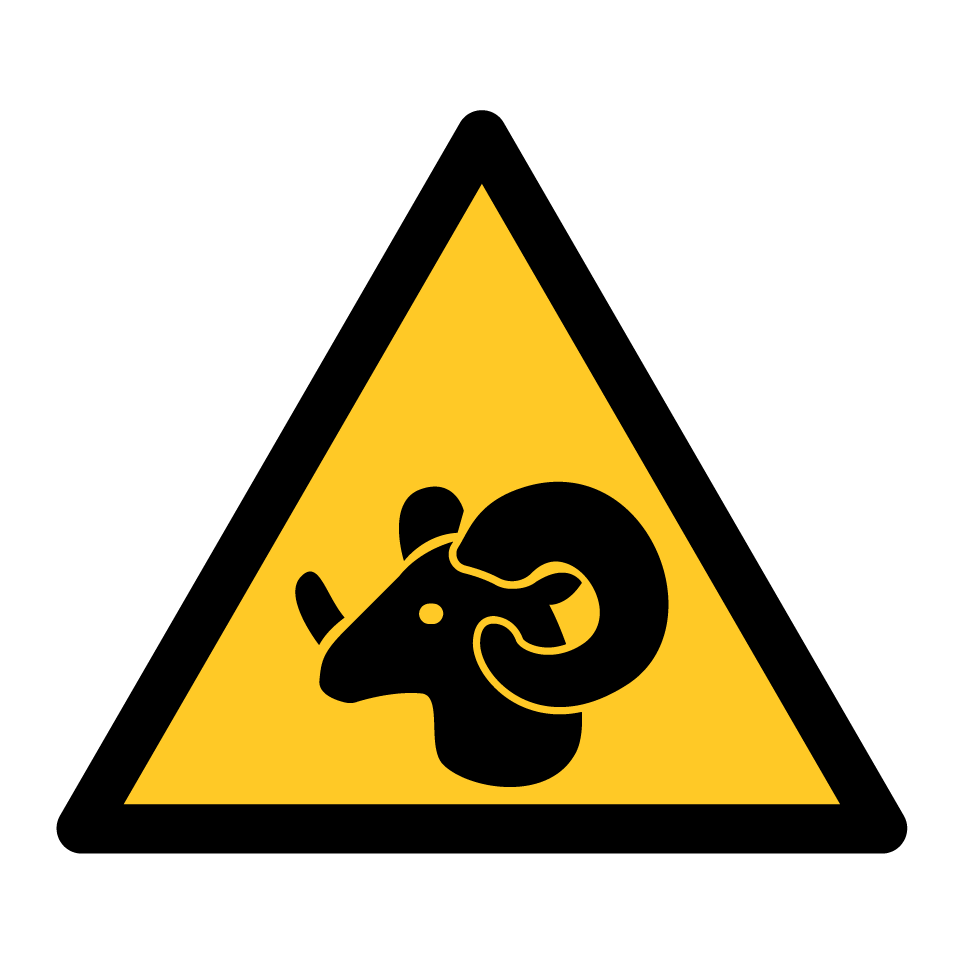 Warnung RAM
