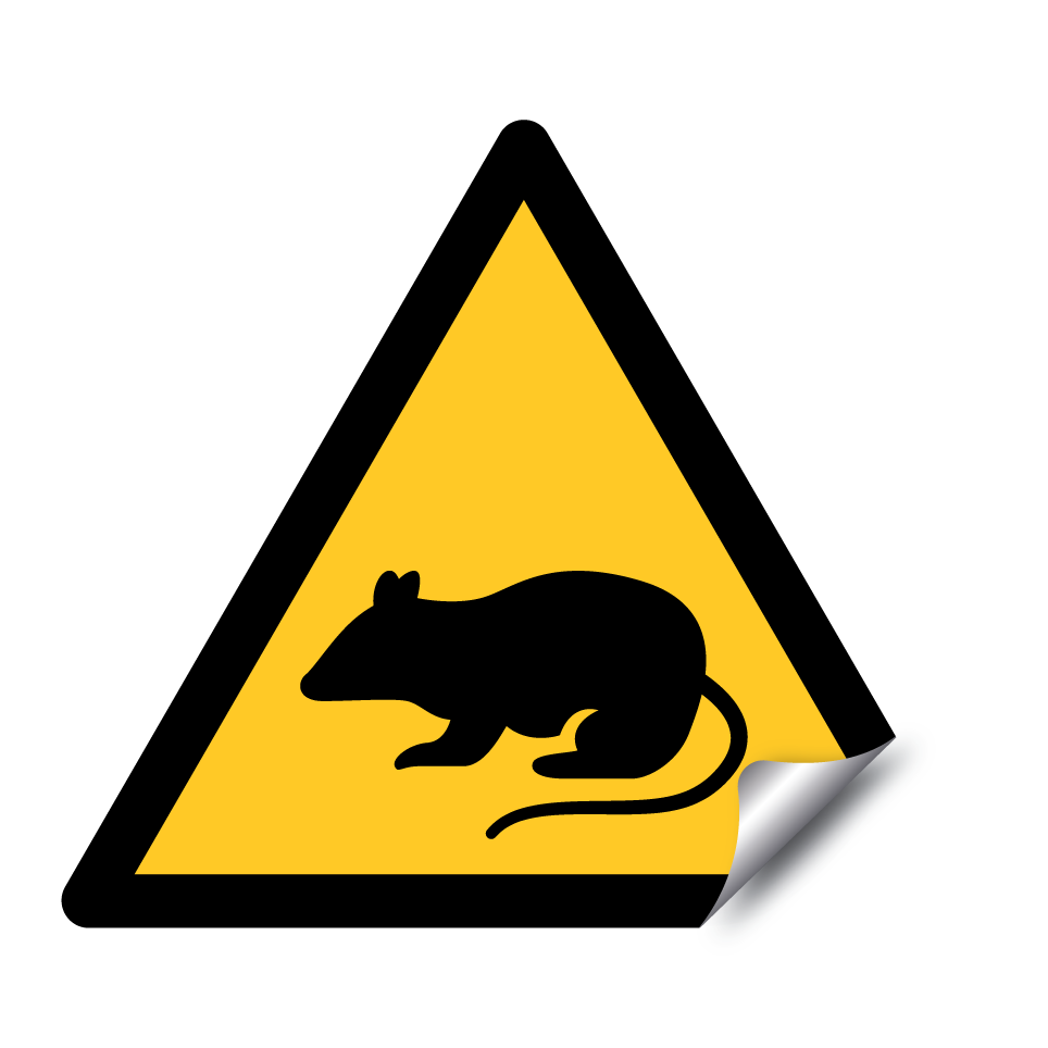 Warnratte