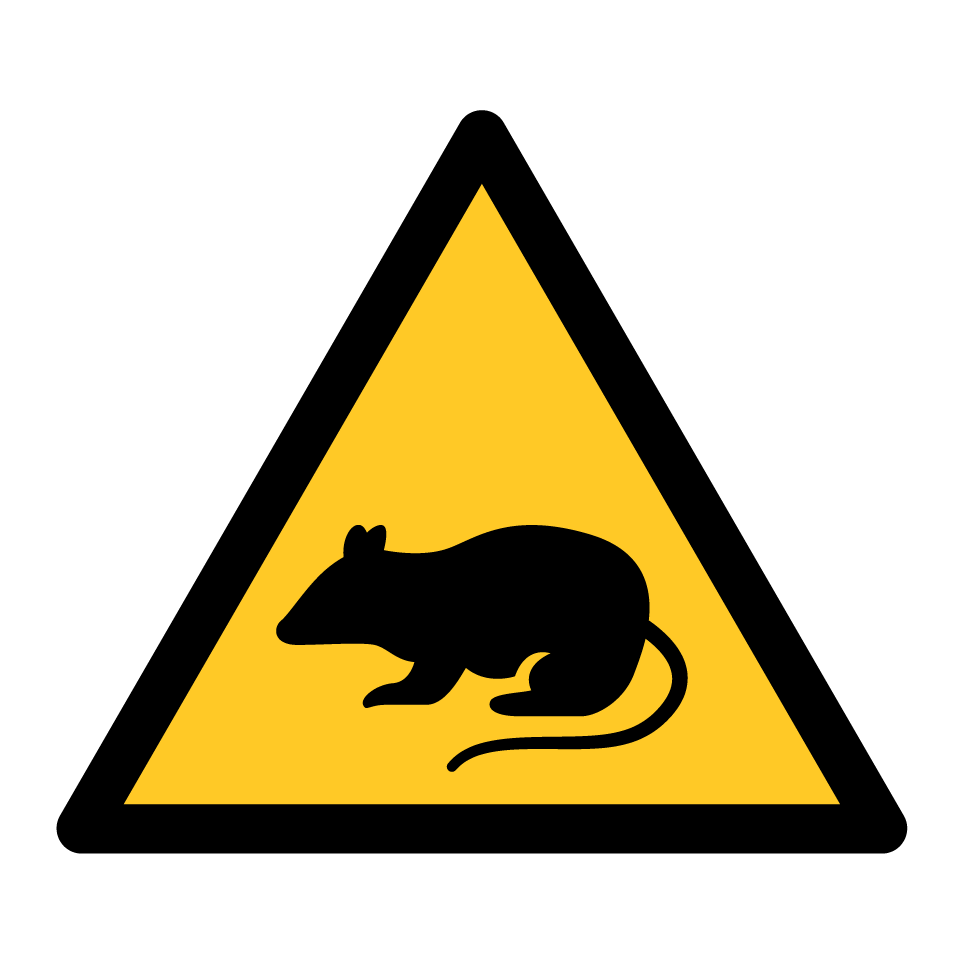Warnratte
