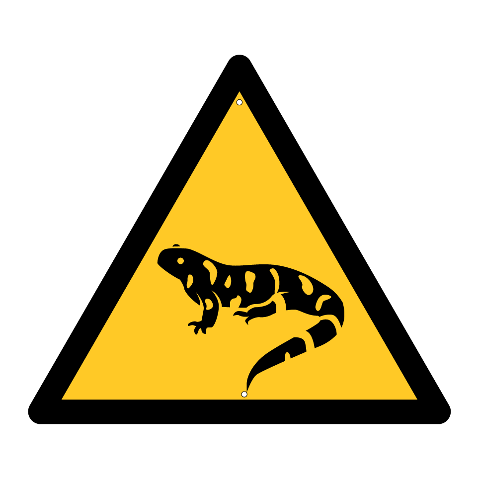 Warnender Salamander