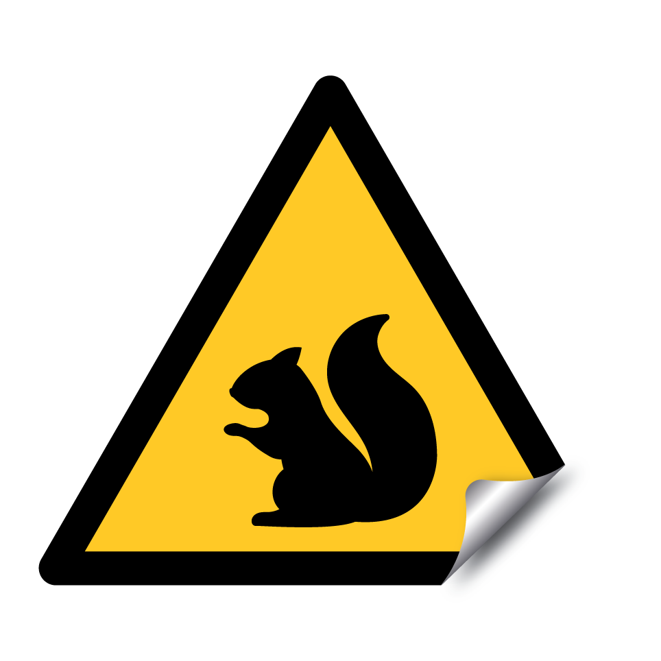 Warnhörnchen